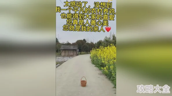 很多肉很黄的乡村小说积极向上的生活态度让我们在平凡中发现美好与希望