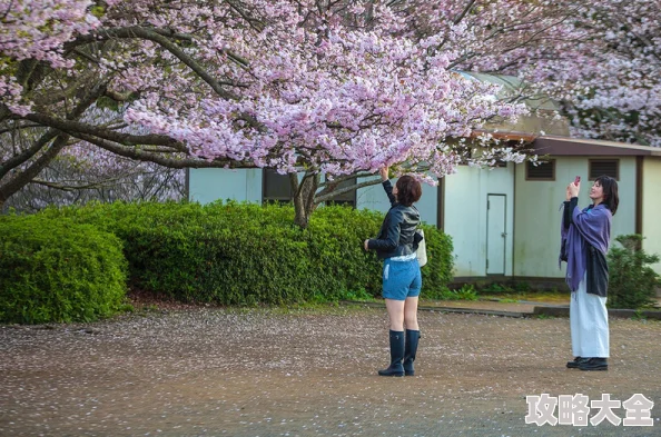 樱花校园怎么联机探索多人模式共赏樱花盛景与好友一起玩耍