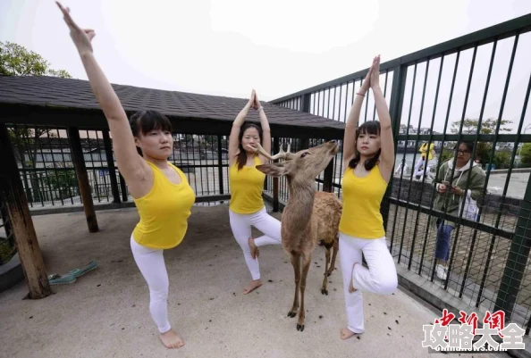 动物操女人让我们珍惜生命与自然和谐共处的美好时光