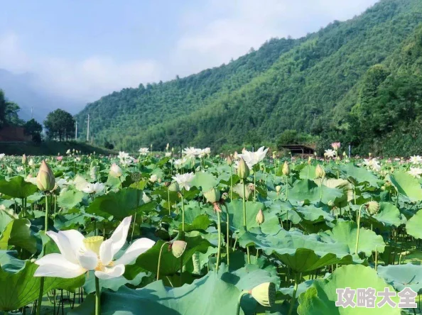 机器人H高辣全球限量珍藏版预售开启数量有限