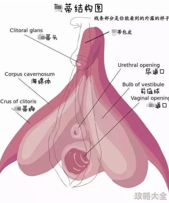 女人巨大荫蒂勃起后慎入：图片可能引起不适已删除