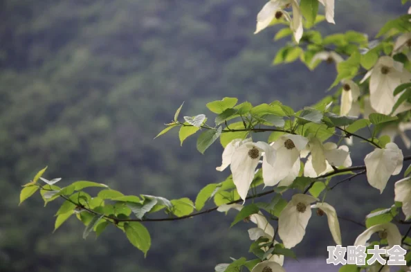 《和平精英》极冰使者震撼上线！惊喜价曝光，限时特惠仅需XXX元即可拥有！