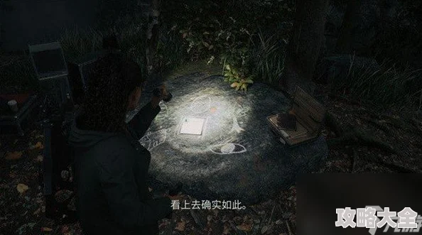 心灵杀手2第六章惊喜揭秘：我的小屋深度解密流程图文攻略，解锁隐藏彩蛋全记录