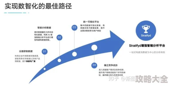 战略视角下的信息探索：深度剖析与实战应用分析