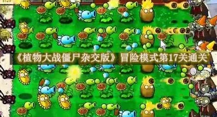 《植物大战僵尸杂交版》挑战模式第71关，深度解析与通关攻略