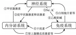 人体工厂深度探索：肾上腺素关卡全面解析与通关攻略